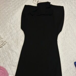 Zara dress NWT